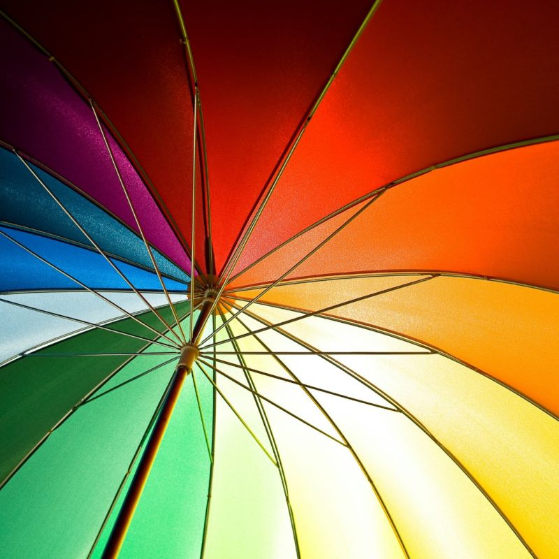 Elevating Your LinkedIn Profile: The Art of Thought Leadership